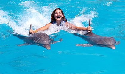 Dolphin Royal Swim 