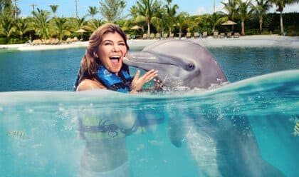 Dolphin Lovers' Swim 
