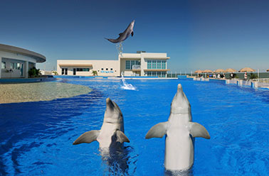 MARINELAND FLORIDA, VENUE OF THE FILM 'BERNIE THE DOLPHIN 2'