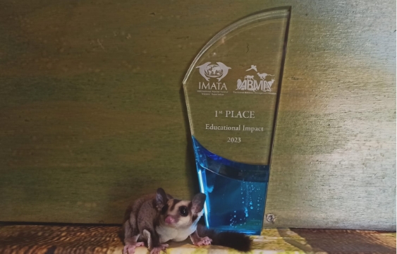 
					THE DOLPHIN COMPANY: INTERNATIONALLY RECOGNIZED FOR ANIMAL TRAINING AND CARE