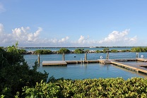 DOLPHIN DISCOVERY ACQUIRES DOLPHIN CONNECTION PARK IN FLORIDA