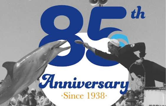 MARINELAND: 85 YEARS OF HISTORY AND CONSERVATION
					