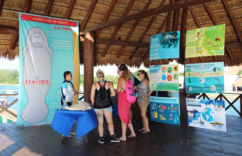DOLPHIN DISCOVERY AWARD WINNER AT THE 45th IMATA CONFERENCE RIVIERA MAYA 2017'