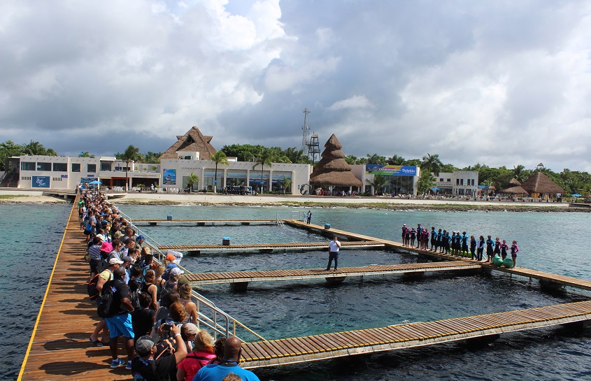 DOLPHIN DISCOVERY AWARD WINNER AT THE 45th IMATA CONFERENCE RIVIERA MAYA 2017'