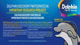 DOLPHIN DISCOVERY PARTICIPATES IN AN INTERNATIONAL PROJECT FOR THE CETACEANS’ WELFARE 