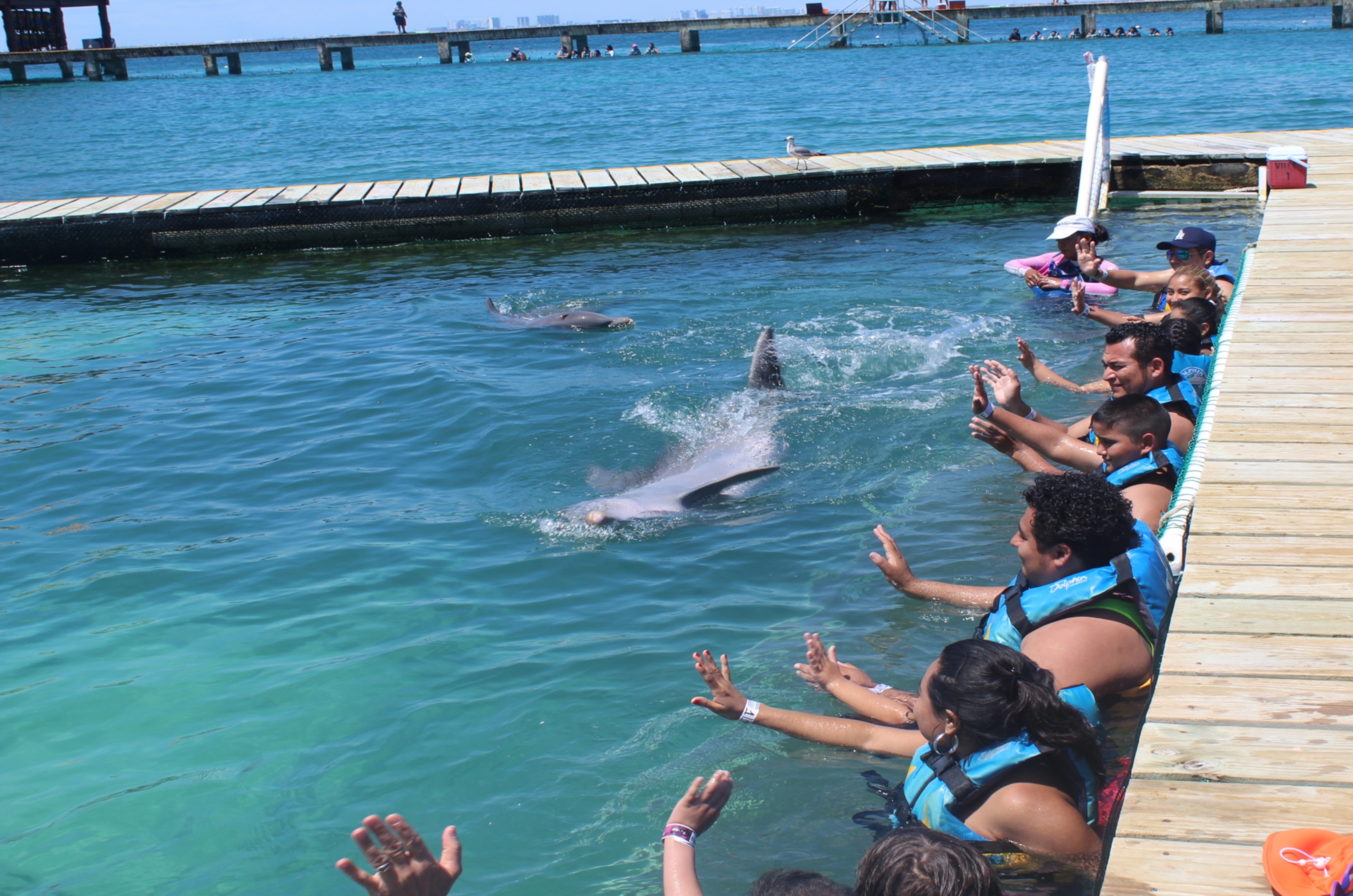 FUNDACI�N DOLPHIN DISCOVERY SIGNED AN AGREEMENT WITH BENEFITED ASSOCIATIONS