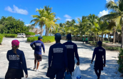 DOLPHIN DISCOVERY PUNTA CANA 
					REHABILITATES DISORIENTED WILD DOLPHIN